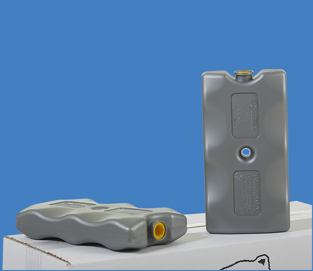 ΣΚΛΗΡΕΣ ΠΑΓΟΚΥΣΤΕΣ